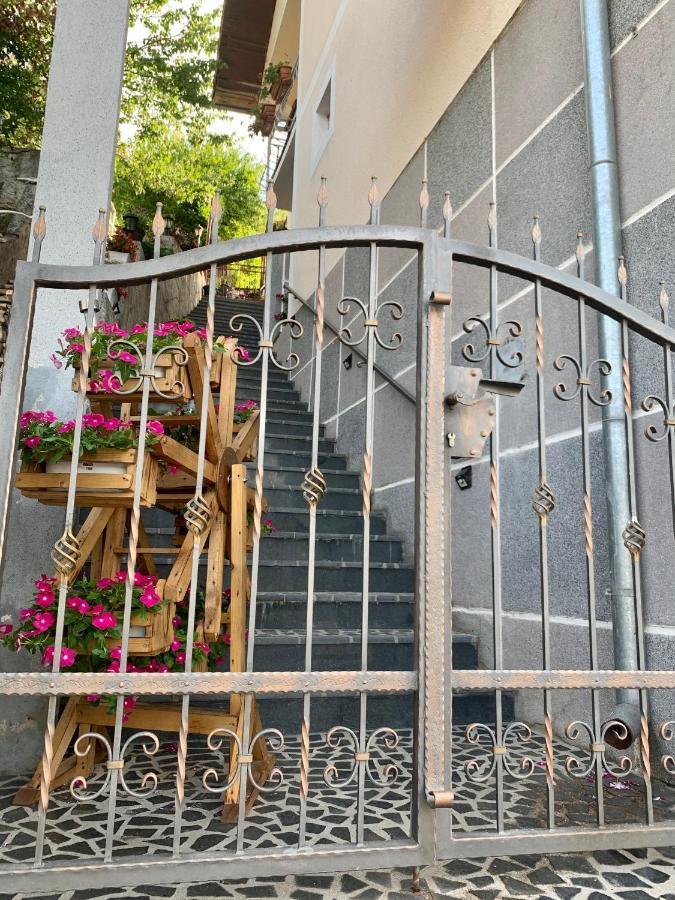 Bonita Apartments Mostar Eksteriør billede